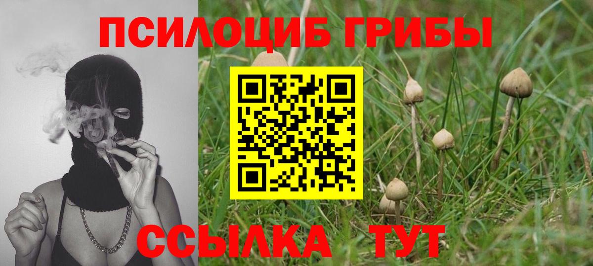 Галлюциногенные грибы MAGIC MUSHROOMS Анапа